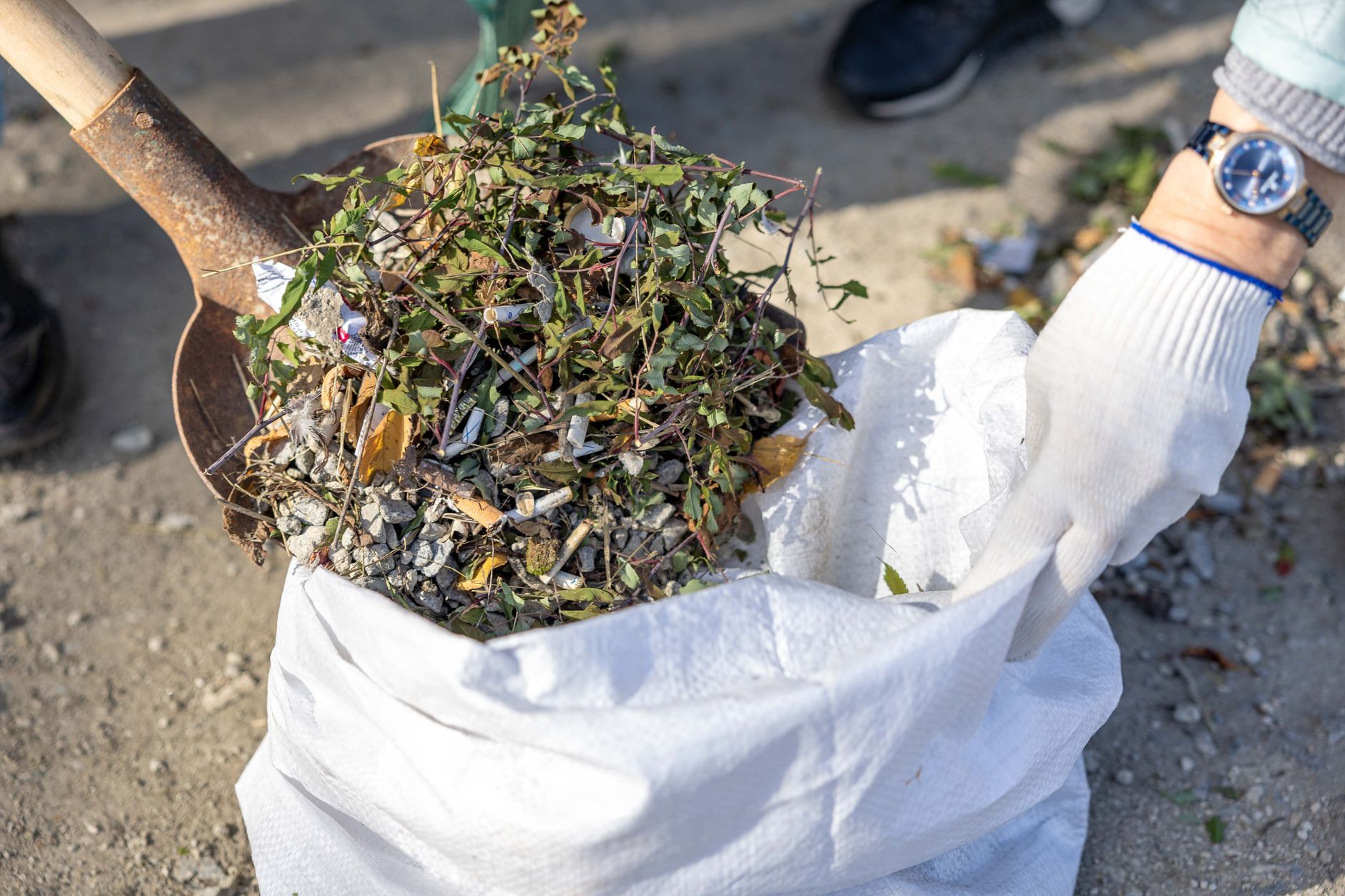 Yard Waste & Junk